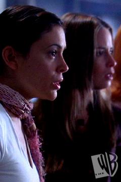 phoebepiper.jpg